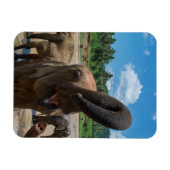 Olifant Sri Lanka Magneet (Horizontaal)