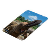 Olifant Sri Lanka Magneet (Linkerzijde)