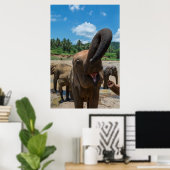 Olifant Sri Lanka Poster (Thuiskantoor)