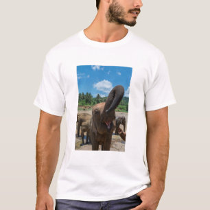 Olifant Sri Lanka T-shirt