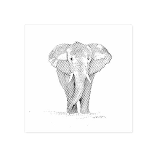 olifant stempel (Afrduk)