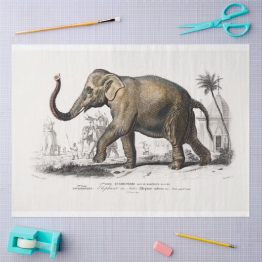 olifant tissuepapier (Craft)