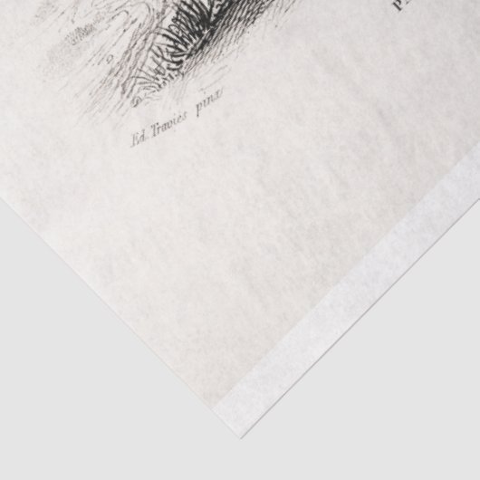  olifant tissuepapier (Detail)