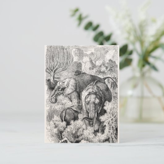  olifant uit de jaren 1800 - Olifanten Briefkaart (Staand voorkant)