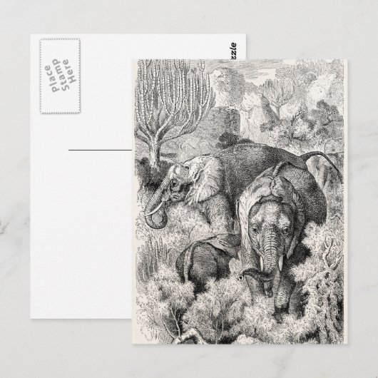  olifant uit de jaren 1800 - Olifanten Briefkaart (Voorkant / Achterkant)