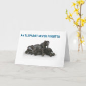 Olifant vergeet nooit Kaart Vriendschap Familie 5x (Gele Bloem)