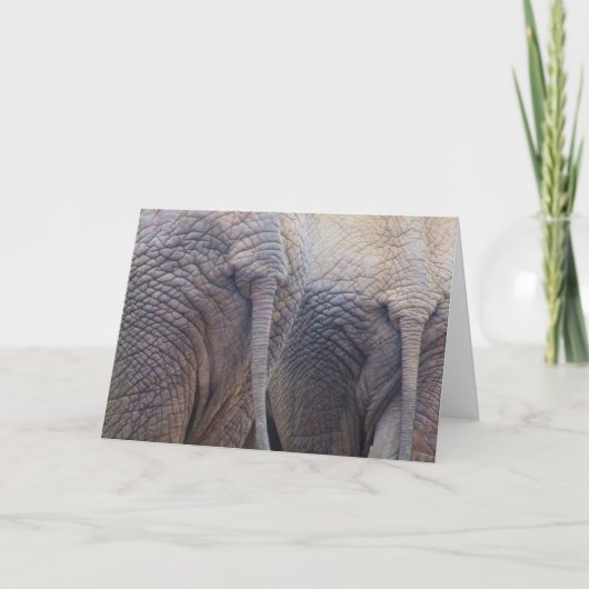 Olifant Verjaardagskaart Kaart (Voorkant)