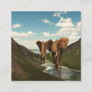 Olifant Vierkante Visitekaartje