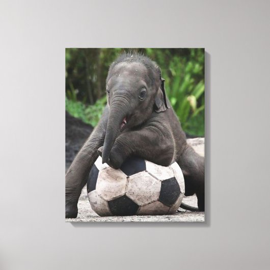 Olifant Voetbal Wrapped Canvas Print (Voorkant)