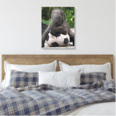 Olifant Voetbal Wrapped Canvas Print (Insitu (Slaapkamer))