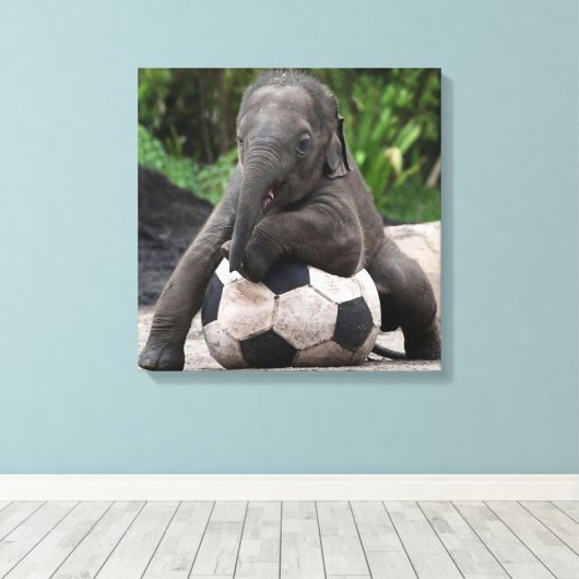 Olifant Voetbal Wrapped Canvas Print (Insitu (Houten vloer))
