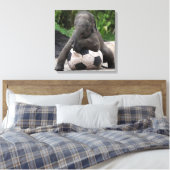 Olifant Voetbal Wrapped Canvas Print (Insitu (Slaapkamer))