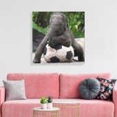 Olifant Voetbal Wrapped Canvas Print (Insitu (Woonkamer))