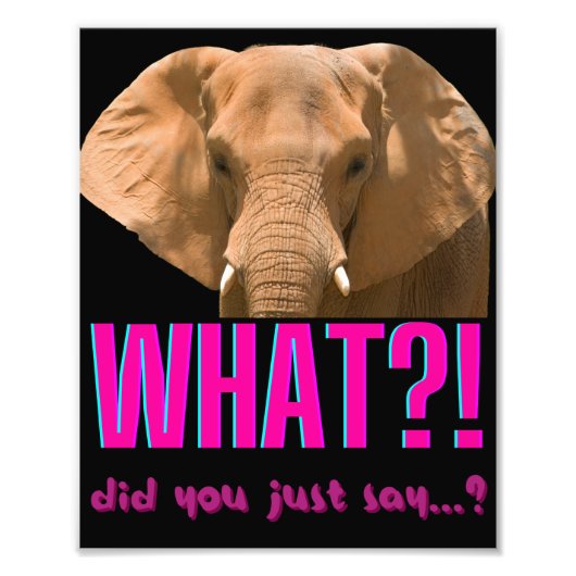 Olifant Wat zei je nou? Foto Afdruk (Voorkant)