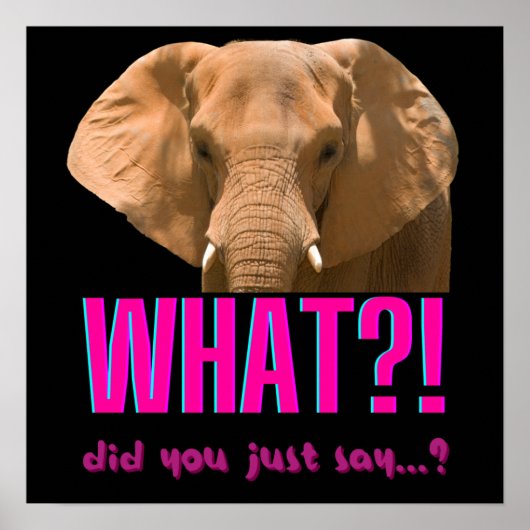 Olifant Wat zei je nou net? Poster (Voorkant)