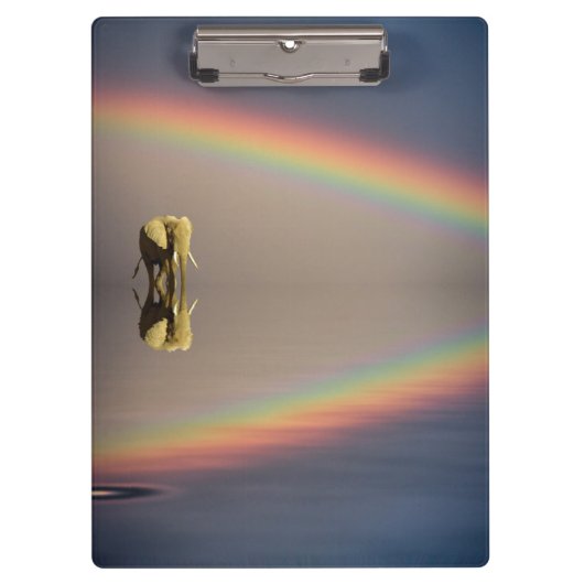 Olifant, Water & Regenboog, Kenia Klembord (Voorkant)