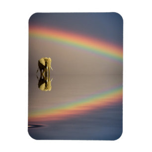 Olifant, Water & Regenboog, Kenia Magneet