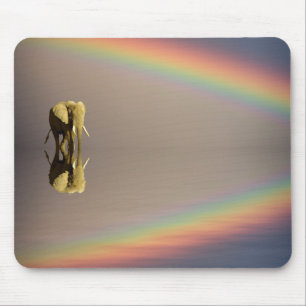 Olifant, Water & Regenboog, Kenia Muismat