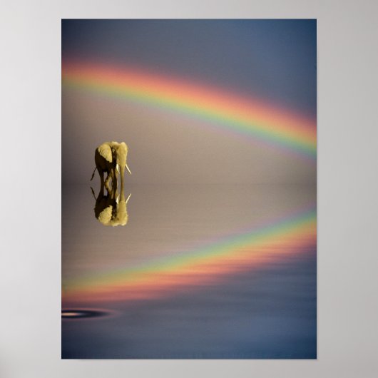 Olifant, Water & Regenboog, Kenia Poster (Voorkant)