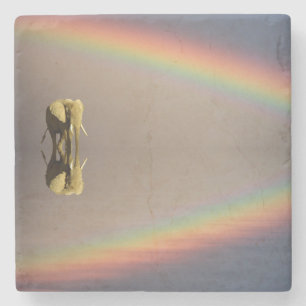 Olifant, Water & Regenboog, Kenia Stenen Onderzetter
