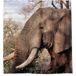 Olifant Wildlife Douchegordijn