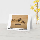 Olifant zeehonden onder in harmonie kaart (Gele Bloem)