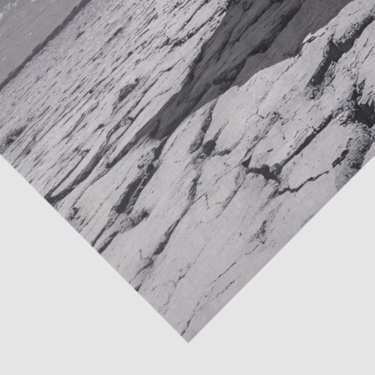 Olifant zwart-wit decoupage tissuepapier (Detail)