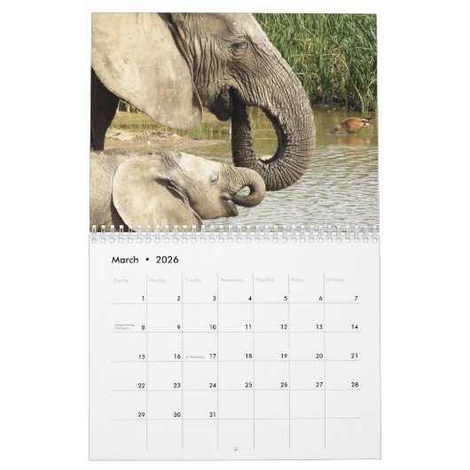 Olifanteliefhebbers, Kleurenfoto's van Olifanten Kalender (Mar 2026)
