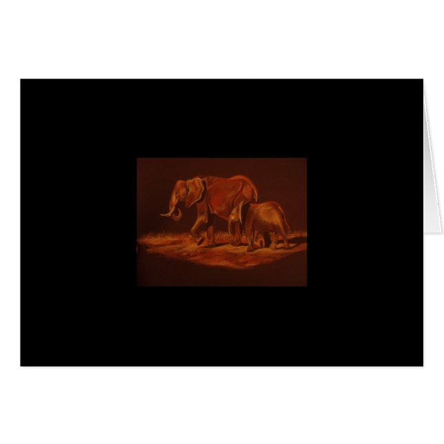 Olifanten (Voorkant Horizontaal)