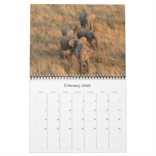 Olifanten 2025 kalender (Feb 2026)