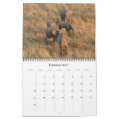 olifanten 2026 kalender (Feb 2027)