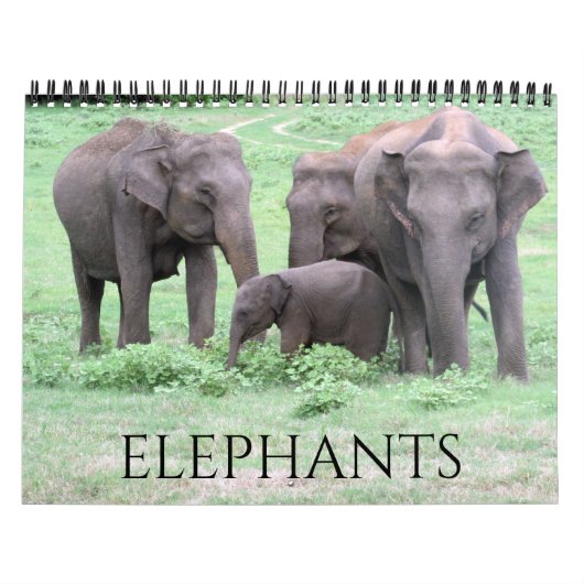 olifanten 2026 kalender (Hoes)