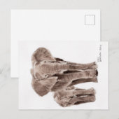 olifanten ansichtkaart briefkaart (Voorkant / Achterkant)