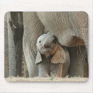 Olifanten, baby olifanten Afrika, wilde dieren Muismat