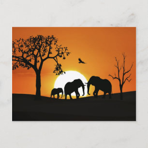 Olifanten bij zonsondergang briefkaart