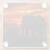 Olifanten bij zonsondergang glazen onderzetter (Achterkant)