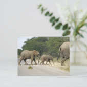 Olifanten Briefkaart (Staand voorkant)