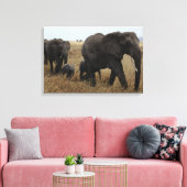 Olifanten Canvas Afdruk (Insitu (Woonkamer))