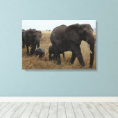 Olifanten Canvas Afdruk (Insitu (Houten vloer))