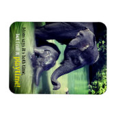 Olifanten die in de rivier baden magneet (Horizontaal)