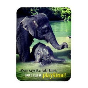Olifanten die in de rivier baden magneet
