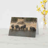 Olifanten Drink de rivier de Chobe Kaart (Gele Bloem)