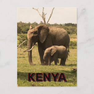 Olifanten grazen in Kenia Briefkaart