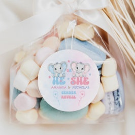 Olifanten Hij of zij Roze Blauw Geslacht Onthullen Ronde Sticker