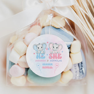 Olifanten Hij of zij Roze Blauw Geslacht Onthullen Ronde Sticker
