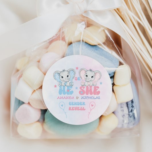 Olifanten Hij of zij Roze Blauw Geslacht Onthullen Ronde Sticker