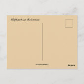 Olifanten in Botswana Briefkaart (Achterkant)