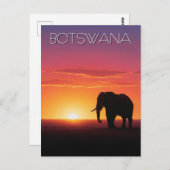 Olifanten in Botswana reizen bij zonsondergang Briefkaart (Voorkant / Achterkant)
