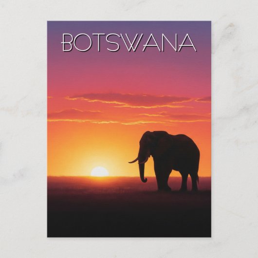 Olifanten in Botswana reizen bij zonsondergang Briefkaart (Voorkant)