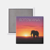Olifanten in Botswana reizen bij zonsondergang Magneet (Voorkant / Achterkant)